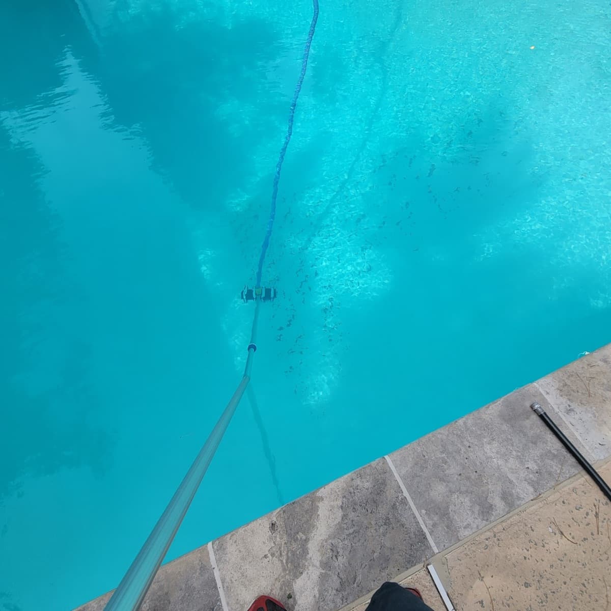 Surviving Cottonwood Season: Pool Tips for Utah