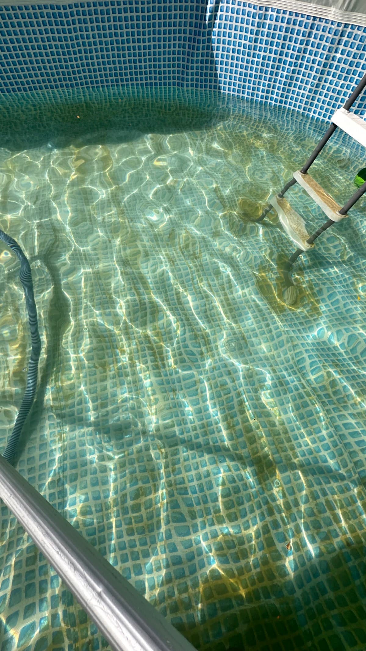 Above-ground pool being vacuumed with liner visible